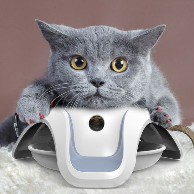 Pet cat leaking food toy,Consume the cat’s physical strength and train