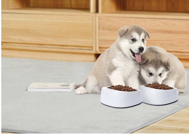 Pet weighing dog food bowl,Digital dog food bowl scale